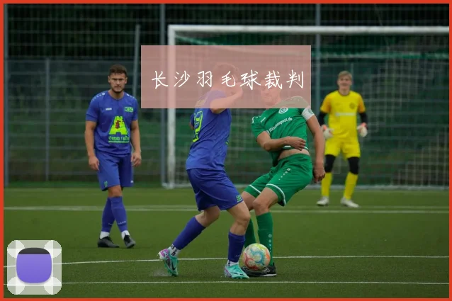 长沙羽毛球裁判